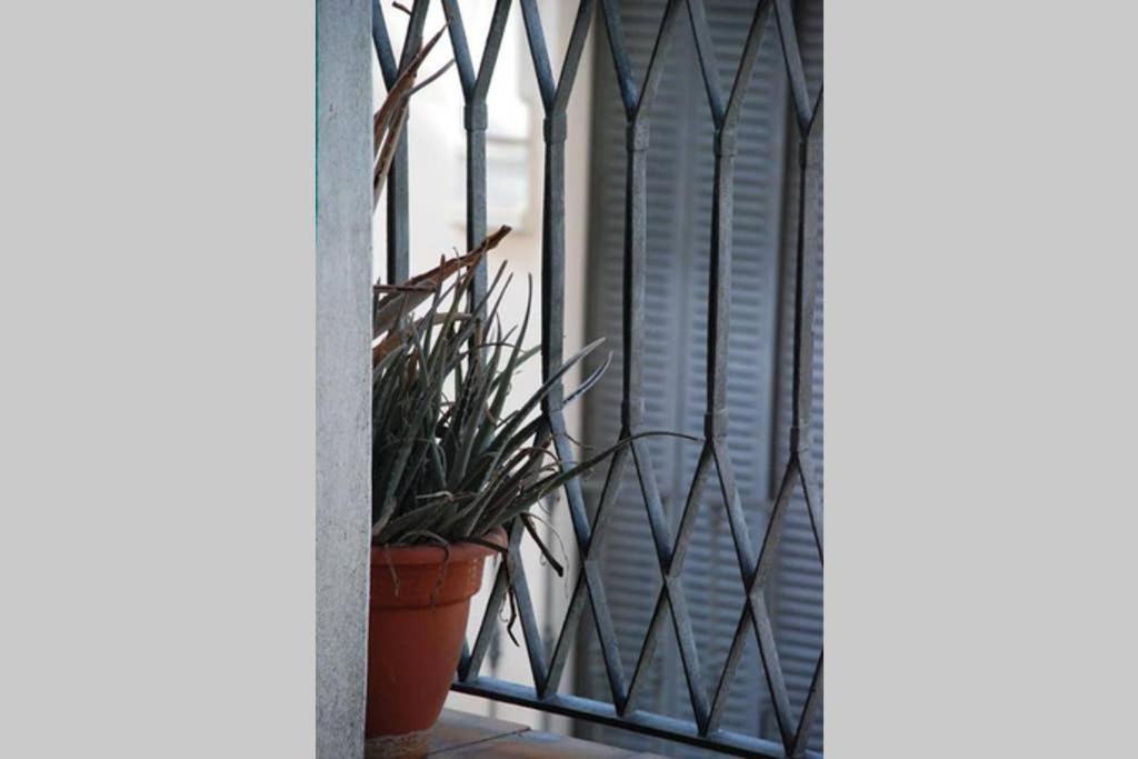 Apartamento Centro Encarnacion 2º I Διαμέρισμα Σεβίλλη Εξωτερικό φωτογραφία
